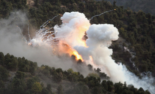 aiecapique's profile picture. 