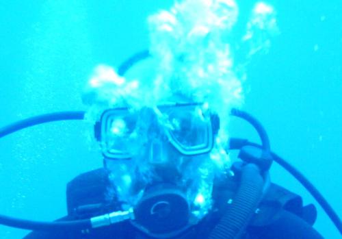 steelejames's profile picture. I like fresh air, but I'm happiest breathing compressed gas.