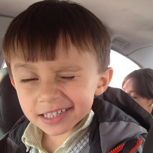 pibox82's profile picture. 