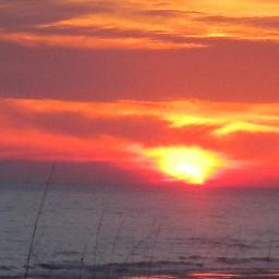 Living, Loving, Eating,  and Drinking the Gulf Coast Dream!
