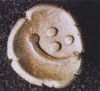 historine's profile picture. Interessiert an Geschichte des 19./20. Jahrhunderts/ der Gesundheitsaufklärung, Geschlechtergeschichte. Außerdem an Politik (grün)und  Essen (selbst gekocht) :)