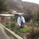 nelson leon - @nelsonleon19 - Twitter