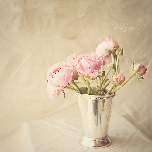 __altwijri's profile picture. .