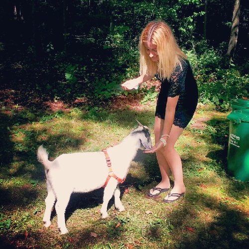 MKovacevic86's profile picture. living a second childhood through motherhood