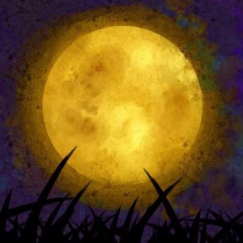 BonitaChan2's profile picture. 