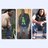 alawishz's profile image