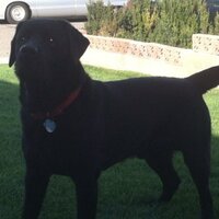 Jason Vollmer (@jakejonvollmer) 's Twitter Profile