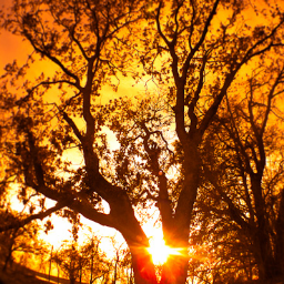 TexasFlics's profile picture. Photos of Texas