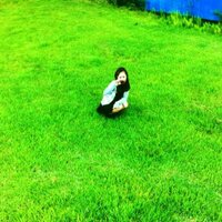 sachiko (@enter22) 's Twitter Profile