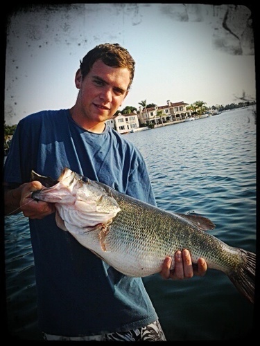 bradsmith987's profile picture. just an average guy that loves fishing, family and the outdoors.