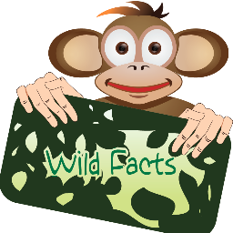 Wild-Facts is a project that delivers a new animal fact every day. Perfect for school projects or entertainment.