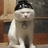LaurenEvaLloyd's profile image