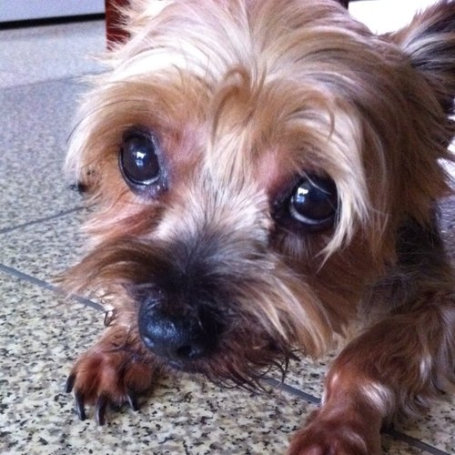 joss451's profile picture. 己所不欲勿施於人-孔子.                                                   有亂君無亂國-筍子.          산중에 무엇이 있는가 산마루에 떠도는 구름 다만 스스로 즐길뿐 그대에게 보내줄 수 없네...