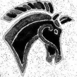 A Matter of Horse, where we think the horse really matters......