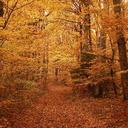 david dOminique - @daviddOminique5 - Twitter