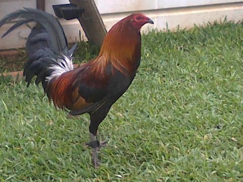 JNorthcon3's profile picture. 