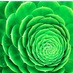 Bright Green Promos (@kdmg) Twitter profile photo