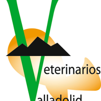 Col.Vet.Valladolid (@colvetvalladoli) 's Twitter Profile