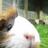 kate_harrison's profile image