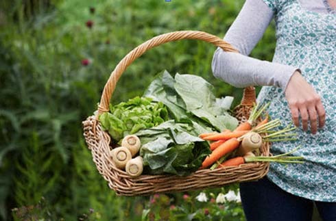 landscaping703's profile picture. Family owned and operated landscape company serving  Northern Va. since 1989.