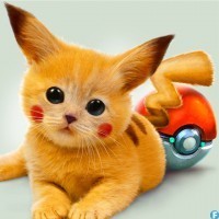 svetlanamirono4's profile picture. Я Светланка)) Увлекаюсь деньгами))) болтаю о жизни))и тут и там