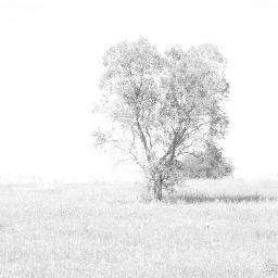 Sirpub's profile picture. 