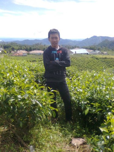 aq yo aq,,,,
koe yo koe....
aq karo koe bedo pak,.,.,.