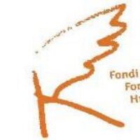 HLC Kosovo (@hlckosovo) 's Twitter Profile
