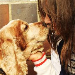 Psicología, Educación y Adiestramiento canino
