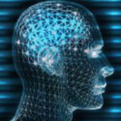 Affordable Seasoned Experts in every field of Internet Marketing