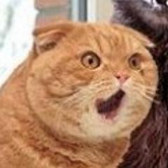 ZzzzBark's profile picture. Hooray!