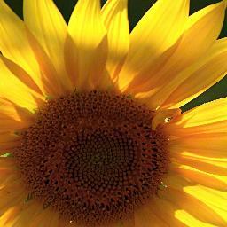 LINDAJMCCORMICK's profile picture. 