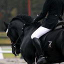 mohamed eisa - @mohamedeisa17 - Twitter