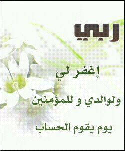 تَمنوا ، و آبتَسِموا ، وتوكلوا : فَ ربكمْ ربٌ كرِيم ☘️ 📚librarian specialist in SHCT