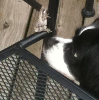 jenndahl16's profile picture. 