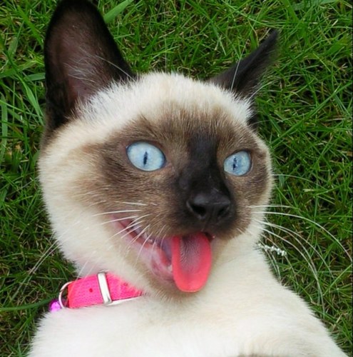 madi_ttt's profile picture. 