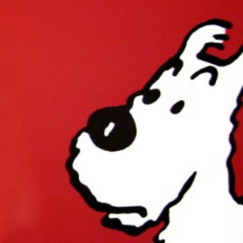 Ken's_Sakaiさんのプロフィール画像