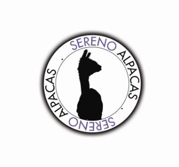 A small suri breeder in the picturesque Vale of Belvoir, in Nottinghamshire, breeding for spectacular fleece and conformation ... #alpacas #alpacasforsale