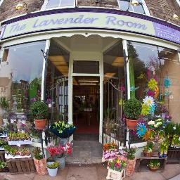 CheshireFlowers's profile picture. Based in Disley part of Cheshire Flowers A family run business with over 40Yrs Exp
Professionals in the Floristry & #Wedding industry - @CheshireWddings
