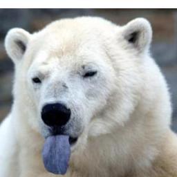 alixandrematos's profile picture. ...