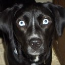 Angela Hassinger - @jamangh - Twitter