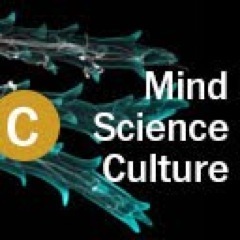 The Research Group in Mind, Science, and Culture. The Group is led by Stephen Asma and Rami Gabriel, authors of the book 