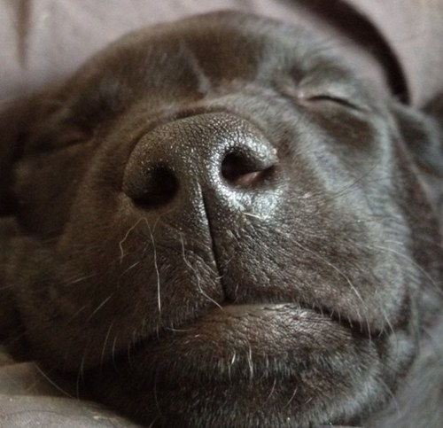 akloberg's profile picture. 