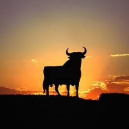 eltororosa's profile picture. 