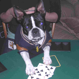 WindowsPlusUSA's profile picture. Windows Plus is the premier source for NFRC rated Energy Efficient Replacement Windows and Siding and is a professional Window, Siding, and Roofing contractor.