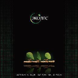 teremsrub's profile picture. СТРОИТЕЛЬСТВО ДЕРЕВЯННЫХ ДОМОВ, КОТТЕДЖЕЙ, БАНЬ