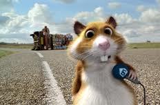 Hamstereeeeeeeeeen !!!!!