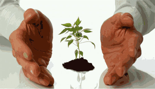 Emprendedor por naturaleza
