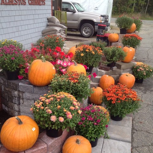 Glidden paint, Makita, DeWalt, power tools, Plumbing supplies, Lawn and Garden needs.