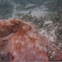 Barbara Grill - @Kummet - Twitter